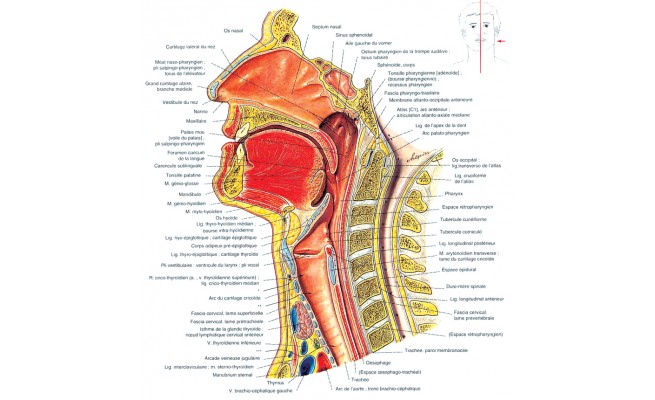 KA1383P18.jpg