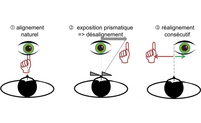 KS552P11.jpg